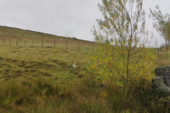 IMG20201021163145