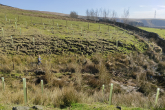 IMG20210317131638
