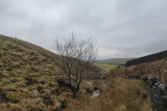 IMG20210304155844