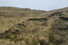 IMG20210304155855